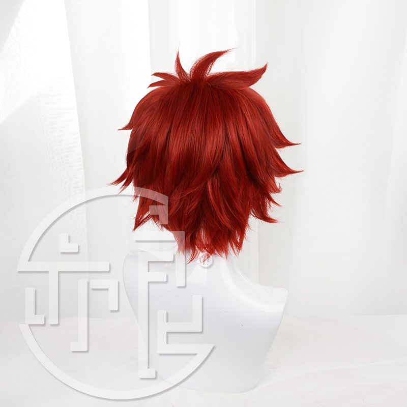 Anime SK8 nieskończoność Reki  – Anime Cosplay With Red Hair recenzja i cena