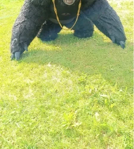 Boże narodzenie prawdziwe życi – Anime Cosplay Real Life recenzja i cena