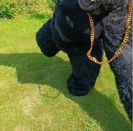Boże narodzenie prawdziwe życi – Anime Cosplay Real Life recenzja i cena