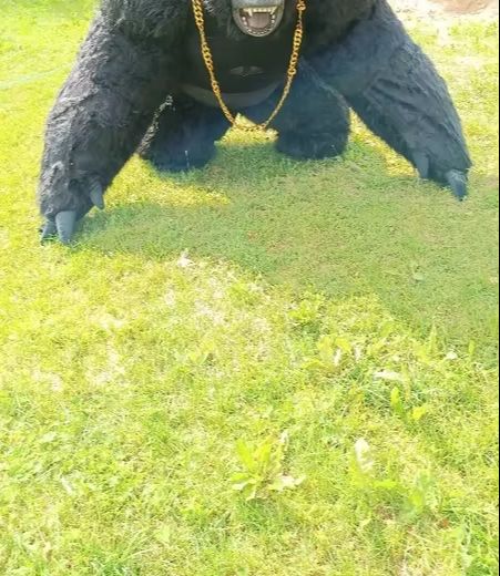 Prawdziwy nadmuchiwany kostium – Anime Cosplay Real Life recenzja i cena